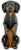 Outstanding & Very Rare Large Vintage Cast Iron "Begging Dachshund" Signed by Maker & Dated 1931 - 11 Inches Tall For Sale - Image 11 of 18