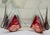 Bring striking studio art glass to your space with this pair of sculptural vases by Jones Glassworks, signed with the...