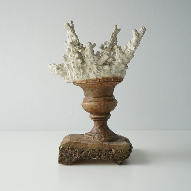 Faux Coral Assemblage on an Antique Italian Urn Decorative Sculpture For Sale In New York - Image 6 of 15