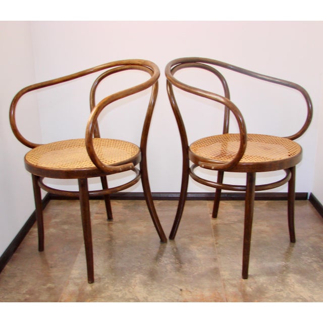 Wood B9/209 Armchairs No. 209 by Radomsko for Thonet, 1960s, Set of 2 For Sale - Image 7 of 10
