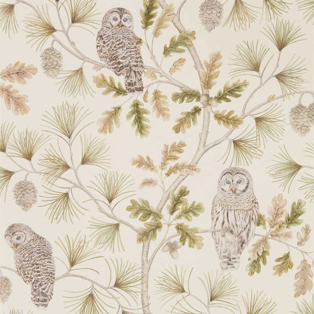 Sanderson Owlswick Wallpaper in Briarwood - a Sample For Sale