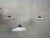 Gold Vintage Opaline Pendant Lights, 1950s, Set of 5 For Sale - Image 8 of 13