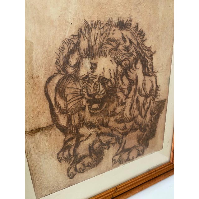 Realism Vintage Mid-Century Original Lion Animal Etching Signed For Sale - Image 3 of 5