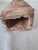 Antique Terracotta Bust of George's Danton. For Sale In West Palm - Image 6 of 8