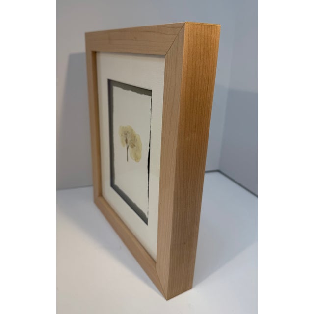 Framed Pair of Pressed Hydrangea Blossoms For Sale - Image 12 of 13