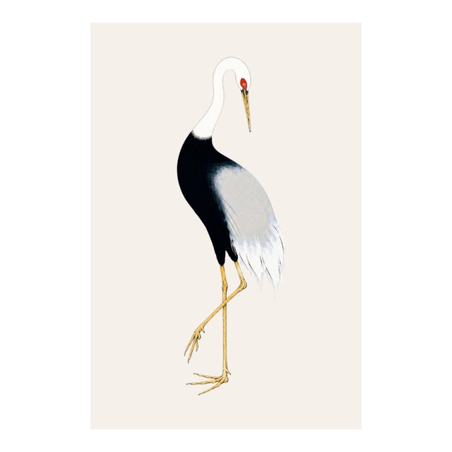 Japanese Crane Study Ii, Original Print, 32" X 48" For Sale