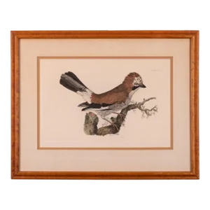 Selby Jay Engraving