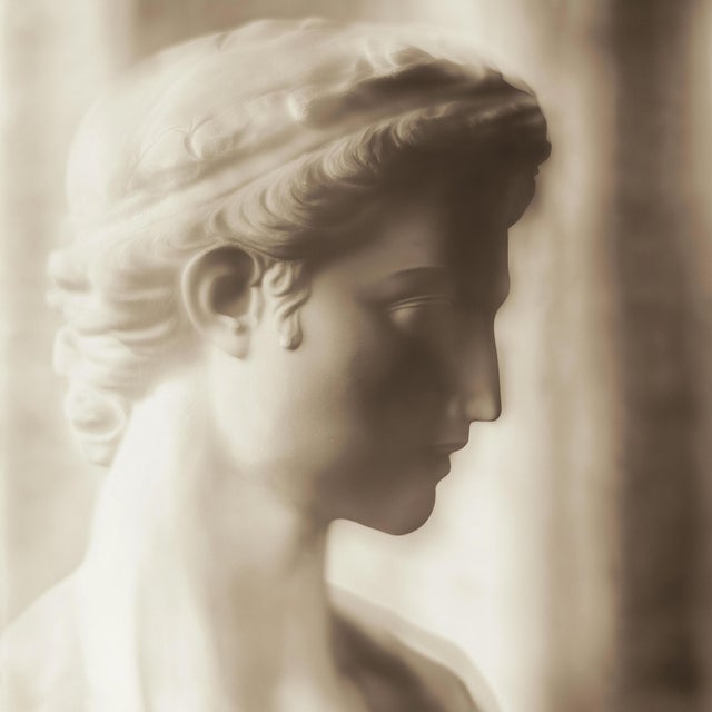 Set of 18 Blurred Antique Profiles — Archival Prints of Restored Antique Photographs For Sale - Image 16 of 17