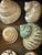 1960s 1960s Gorgeous Large Turno Sea Shell Collection in a Shadow Box For Sale - Image 5 of 5