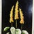 A Set of Five Vintage Flower Still Live Paintings For Sale - Image 6 of 12