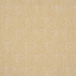 Sample - Schumacher Leona Performance Fabric In Yellow For Sale
