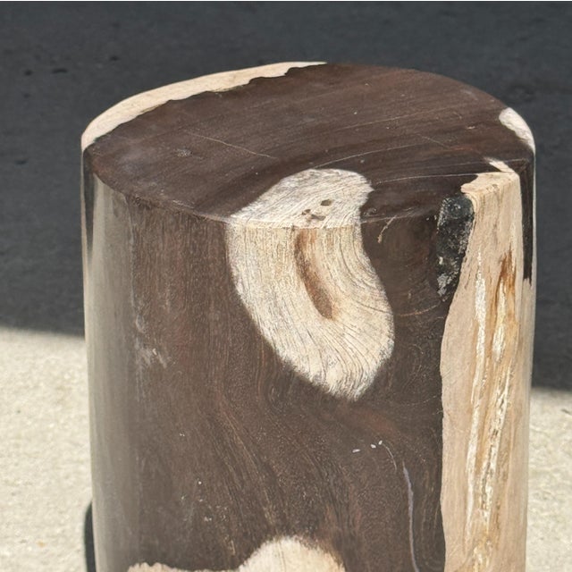 Small Side Table in Black and White Petrified Wood, 1980s For Sale - Image 9 of 18