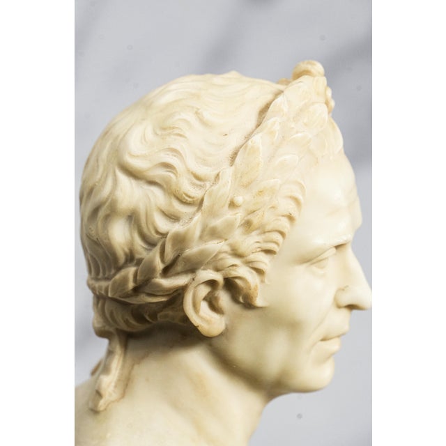 Vintage Roman Julius Caesar Man Bust Statue Classical Grand Tour Style Sculpture Home Decor For Sale - Image 12 of 14