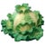 Green 19th Century English Coalport Porcelain Cabbage or Lettuce Ware Tureen Box For Sale - Image 8 of 8