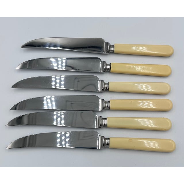 Vintage Philip Ashberry & Sons Sheffield England Celluloid Dinner Knife Set - 6pc For Sale - Image 11 of 11