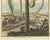 Early 18th Century J.C. Volkamer, Botanical Date Palm, 1713, Engraving For Sale - Image 5 of 9