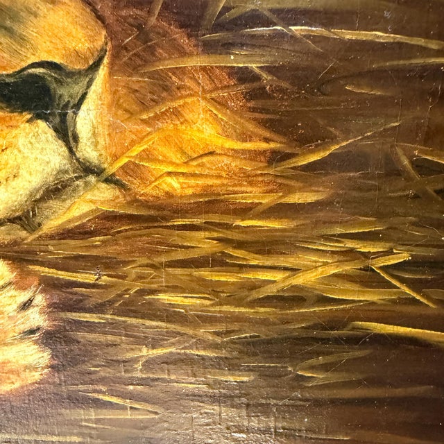 Oil Canvas Reproduction Repose the British Lion by the Hungarian Géza Vastagh For Sale - Image 10 of 17