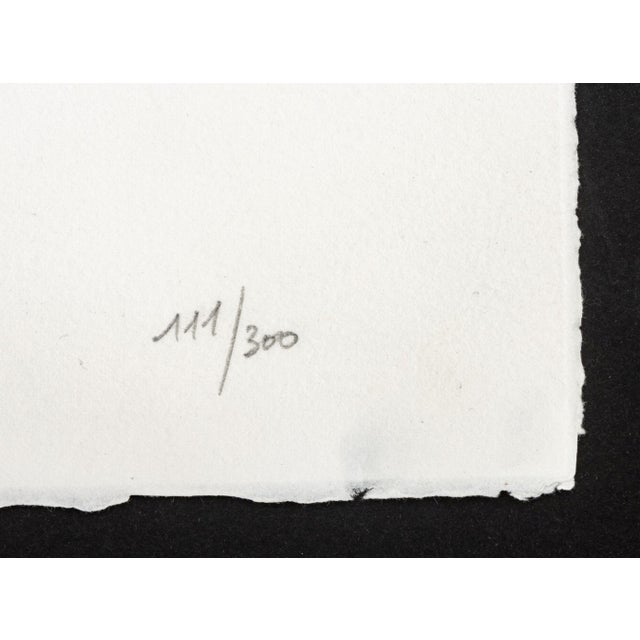 Yves Klein "Monique" Lithograph in Colors, 2004 For Sale - Image 9 of 10