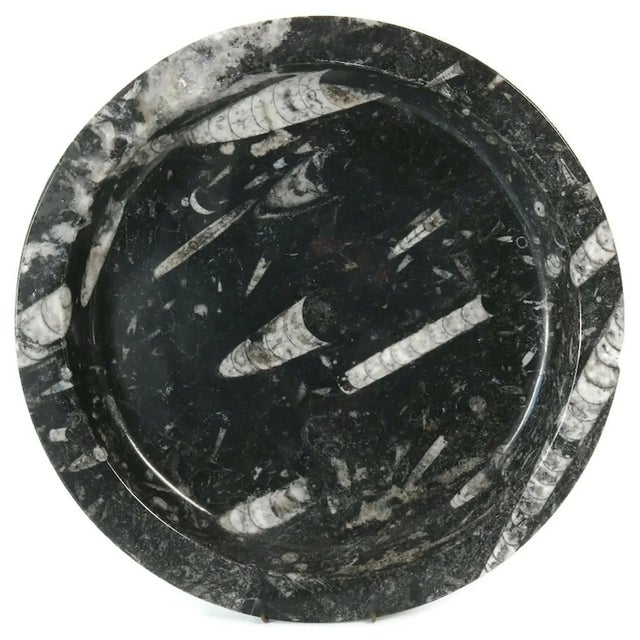 Mid-Century Modern Antique Marble Fossil Platter W/ Embedded Ammonites For Sale - Image 3 of 3