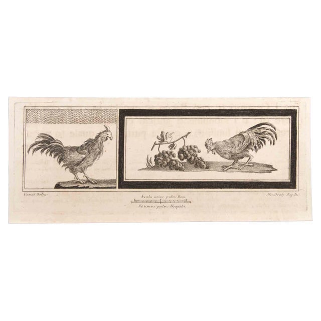 Niccolò Vanni, Decoration with Animals, Etching, 18th Century For Sale