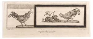 Niccolò Vanni, Decoration with Animals, Etching, 18th Century