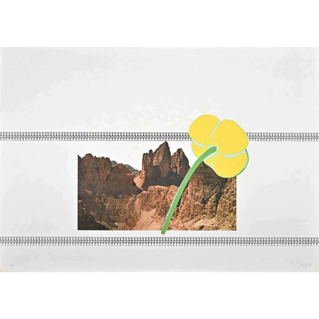 Contemporary Tomaso Binga, Flower, Original Lithograph, 2000s For Sale - Image 3 of 3