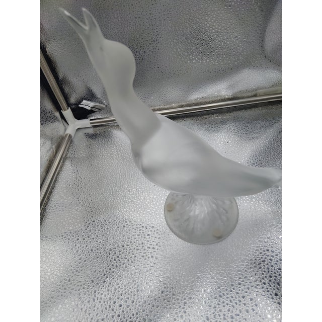 Lalique France Frost Crystal Daphnis Seagull For Sale - Image 11 of 11