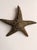 Brass Vintage Large Brass Starfish Sculpture For Sale - Image 8 of 11