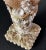 Shell Decorated Pedestal Candlestick For Sale - Image 11 of 11