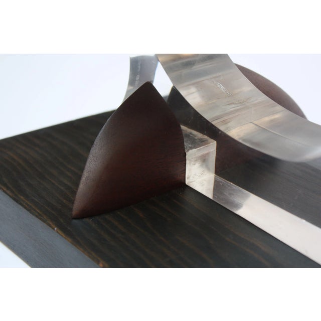 1970s Vintage Acrylic and Teak Abstract Cat Sculpture by Robert D. Harvey For Sale - Image 5 of 13