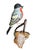 1930s Austrian Folk Art Carved Wood Bird #68, 1930s For Sale - Image 5 of 5