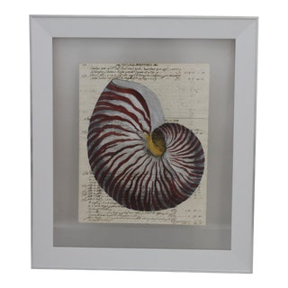 Painting of Red Nautilus on Manuscript Paper For Sale