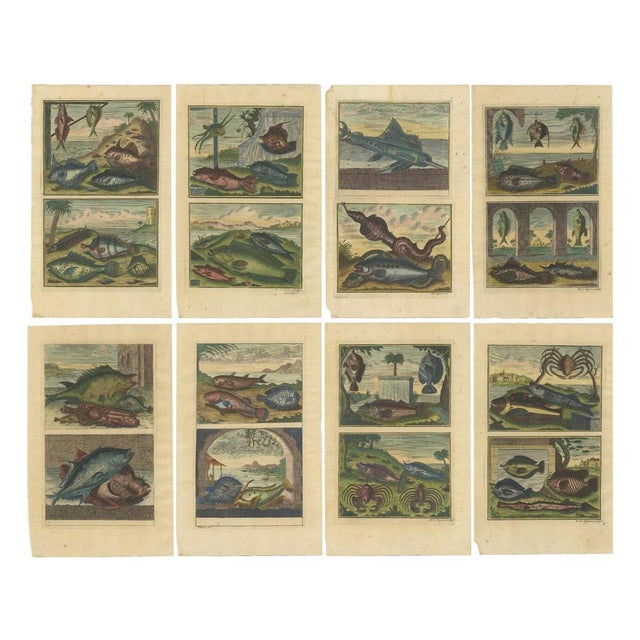 Set of eight antique prints of various fishes and crustaceans. These print originate from 'Oud en Nieuw Oost-Indiën' by F....