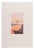 Yan Nascimbene, Pink Landscape, Lithograph For Sale