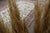 Beige 1970s Vintage Persian Handmade Wool Cotton Area Rug For Sale - Image 8 of 11