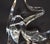 Orrefors Crystal Fish Trout Paperweight Figurine Olle Alberius Sweden Signed For Sale - Image 11 of 18
