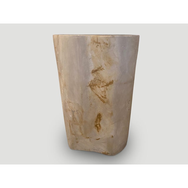 Contemporary Andrianna Shamaris Super Smooth High Quality Petrified Wood Side Table For Sale - Image 3 of 6