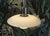 PH 3/2 Pendant in Opal Glass by Poul Henningsen for Louis Poulsen, 1970s For Sale - Image 17 of 18
