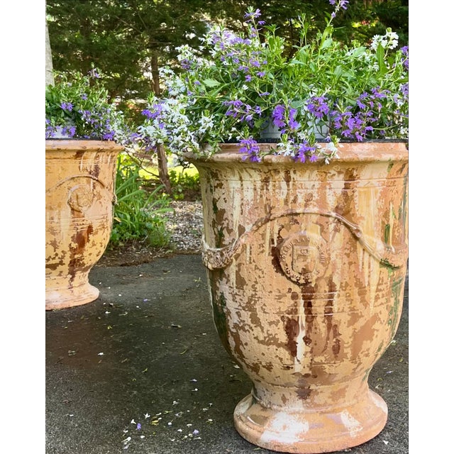 Pair of French Anduze Urns Circa 1960 For Sale - Image 4 of 9