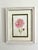 Giclee Fine Art Print Watercolor Painting “Pink and Red” For Sale - Image 4 of 5