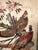 Vintage Sporting Bird Print, Framed For Sale In Charleston - Image 6 of 7