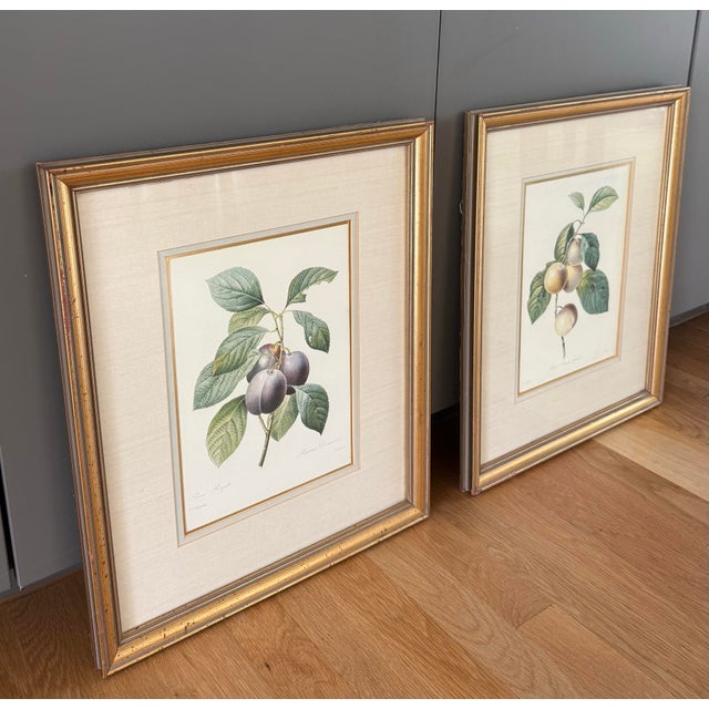Pair of Vintage Framed Botanical Fruit Prints by Pierre-Joseph Redoute For Sale - Image 9 of 12
