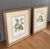 Pair of Vintage Framed Botanical Fruit Prints by Pierre-Joseph Redoute For Sale - Image 9 of 12