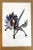 If you can't afford a masterwork of Oaxacan wood carving, you can still enjoy one, with this limited edition print of one...