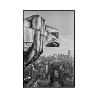 "Gargoyles of Gotham" Photograph by Don Hamerman For Sale