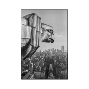"Gargoyles of Gotham" Photograph by Don Hamerman