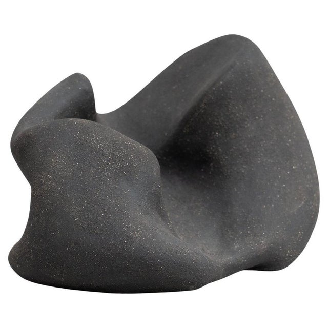 David Nobaru, Biomorphic Sculpture 0002, 2020, High-Fired Clay For Sale - Image 14 of 14