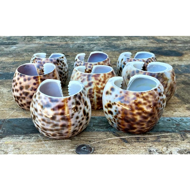 Vintage Sliced Shell Napkin Holders - Set of 8 For Sale In West Palm - Image 6 of 12