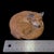 Late 18th Century Vintage MCM Signed Aynsley Red Fox Figurine For Sale - Image 5 of 7