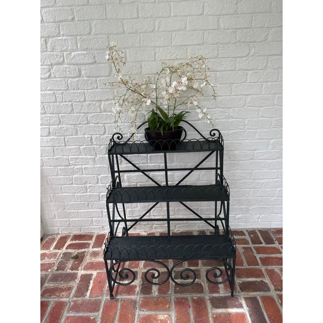 A charming vintage wrought iron conservatory stand featuring three graduated, display shelves, decorative gallery, rails,...